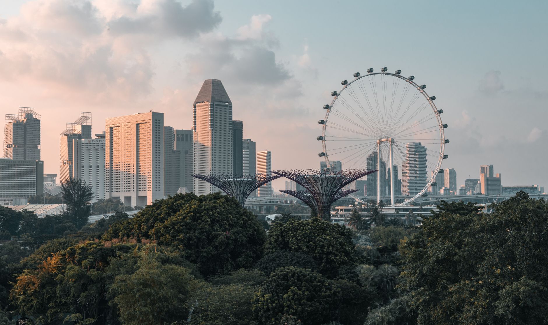 Singapore skyline and observation wheel during sunset