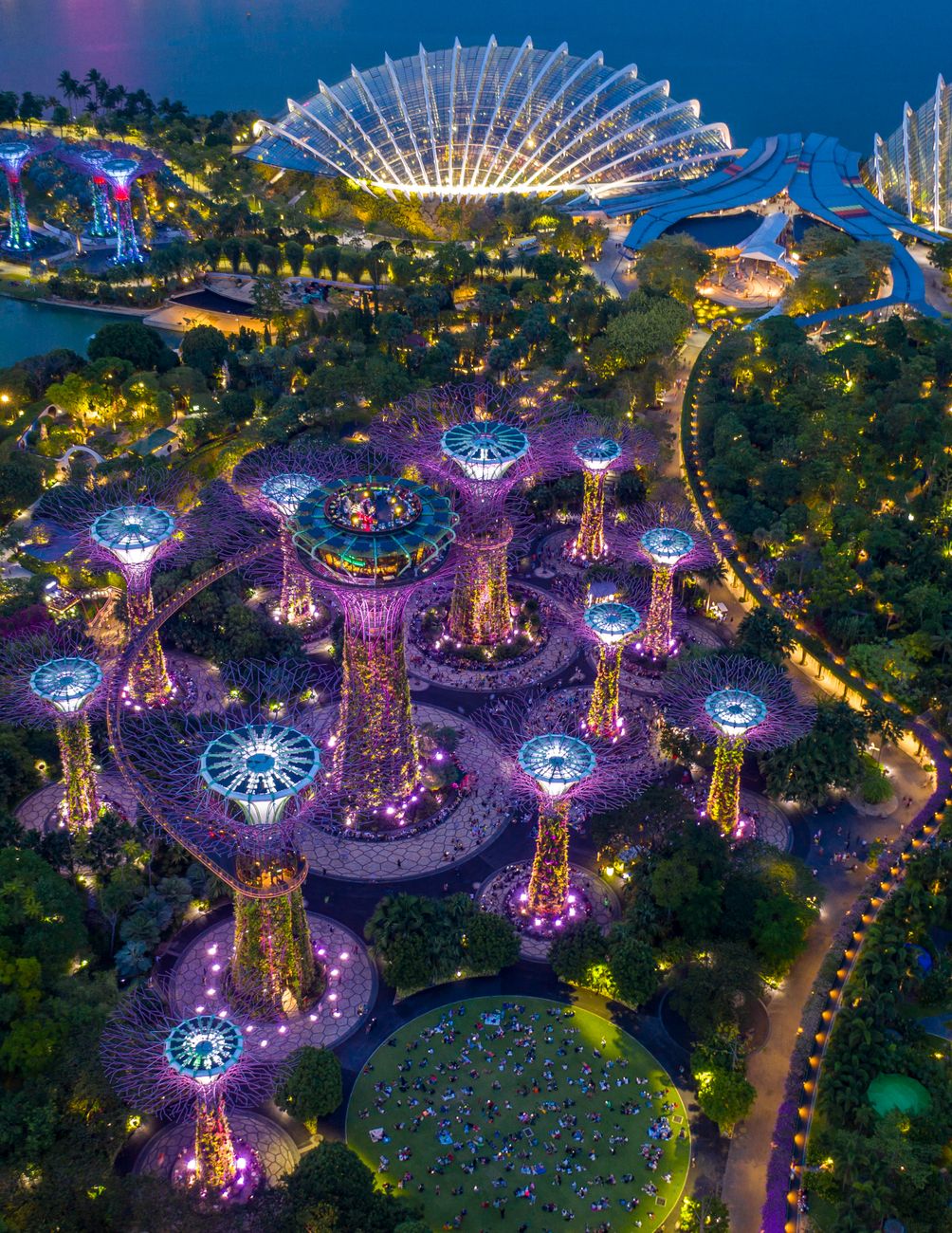 Gardens by the Bay light show with Supertree Grove illuminated at night in Singapore
