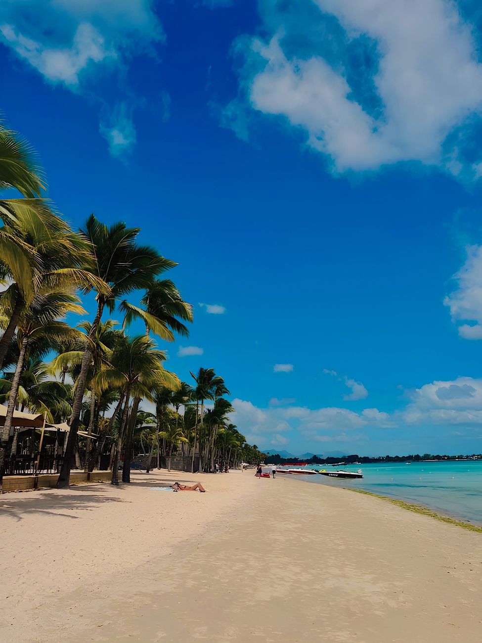 Palm-lined tropical beach on the island of Mauritius.