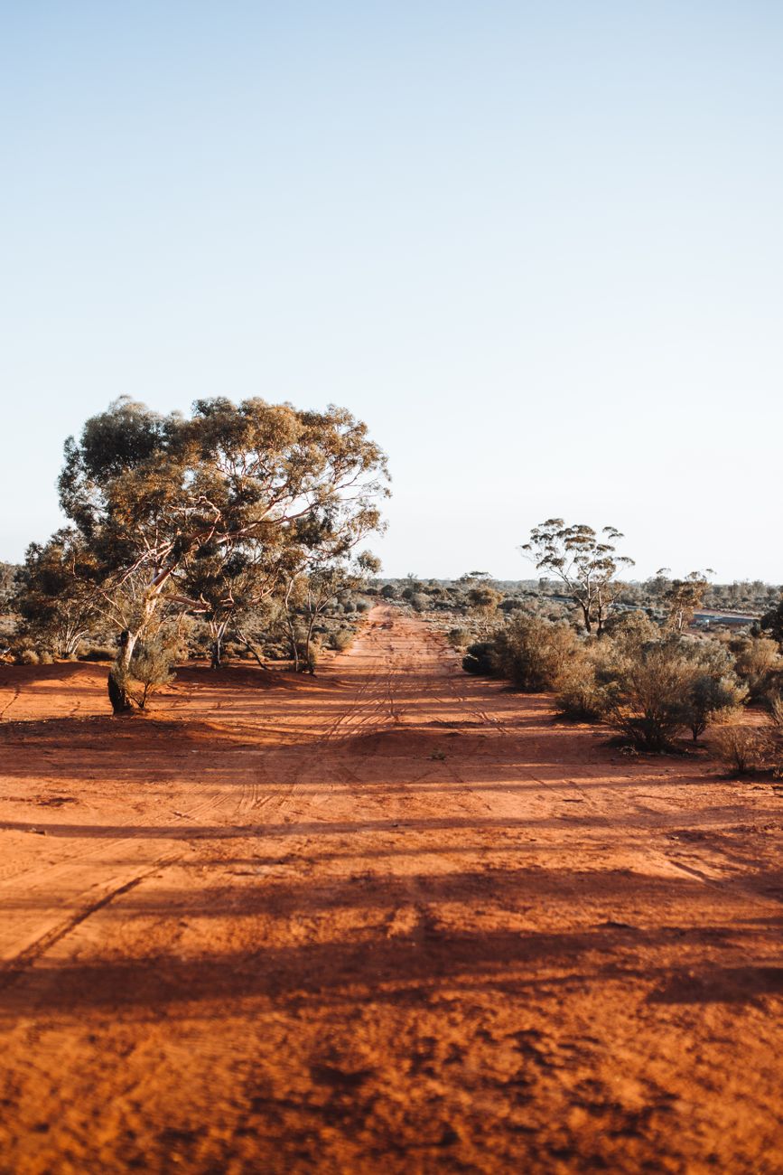 Red dirt road through the Australian outback with eucalyptus trees