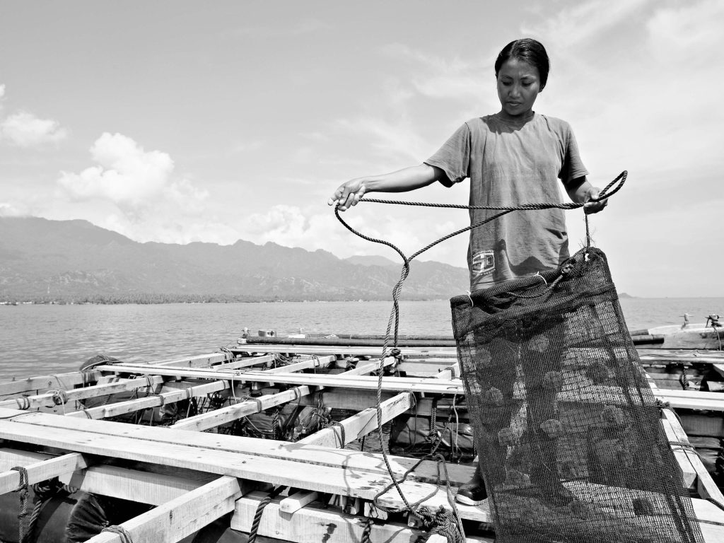 Woman working at a pearl farm near Pemuteran, Bali