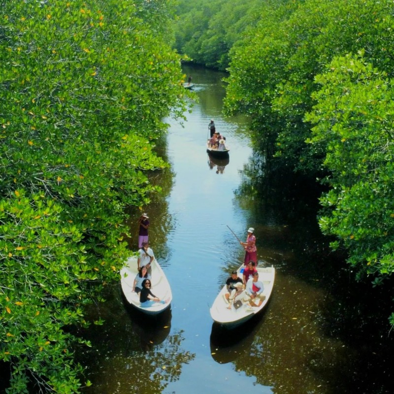 Boat tour through the mangrove forest in Nusa Lembongan