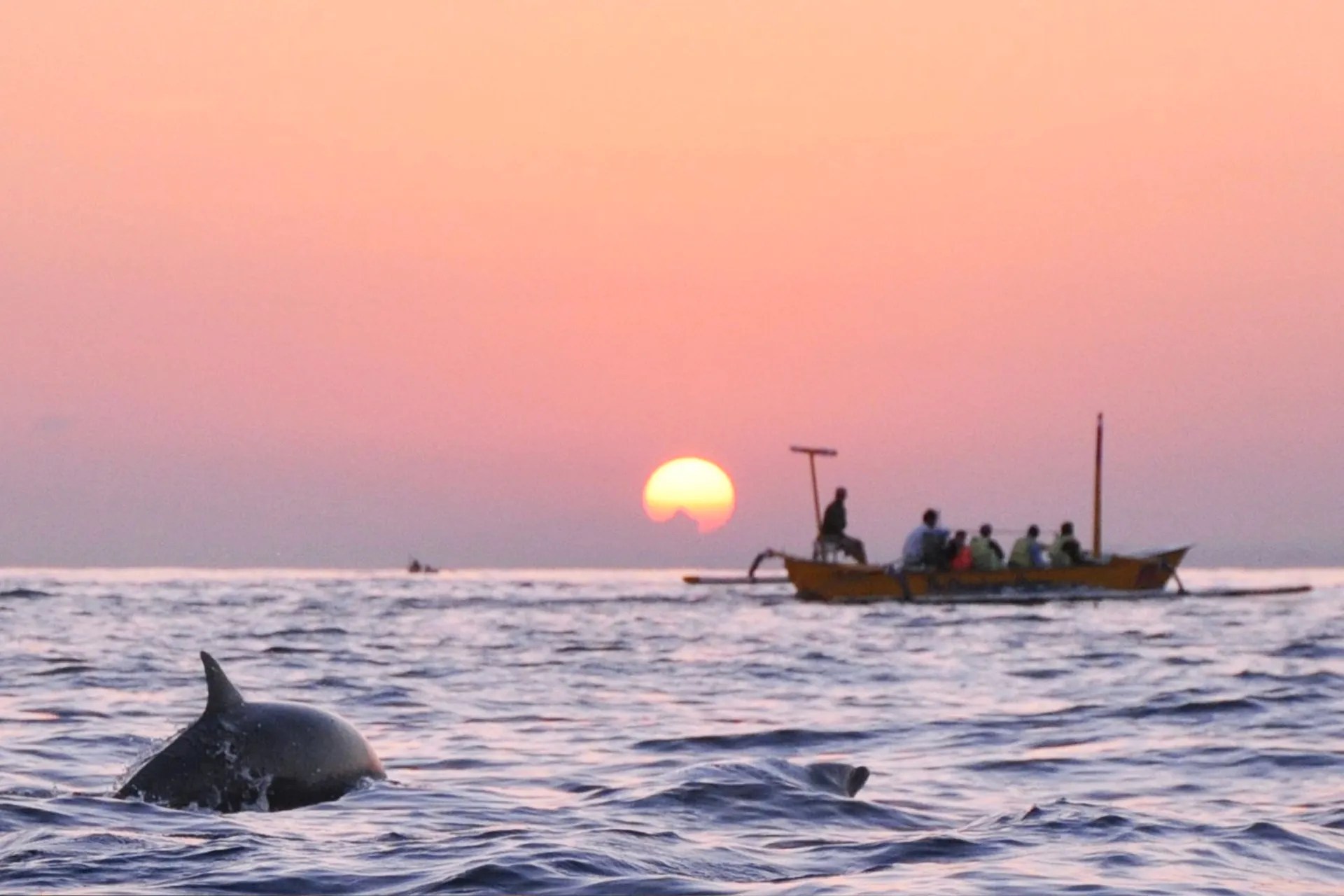 Sunset over the ocean with dolphins and a traditional boat in Lovina, Bali