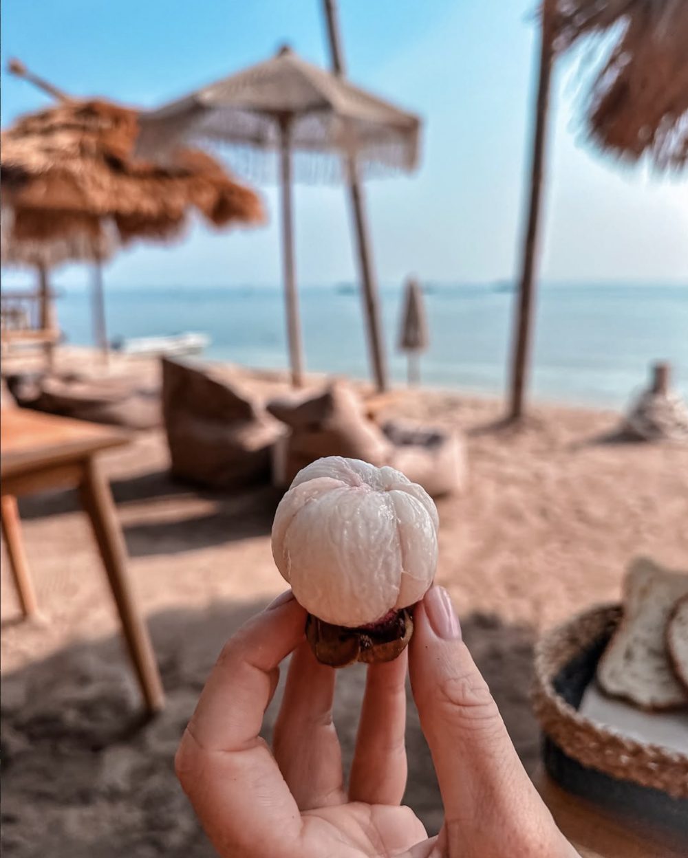 Hand holding fresh mangosteen on a tropical beach for a guide to the best islands in Indonesia