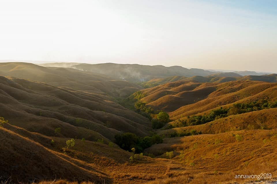 Golden rolling hills at Wairinding Hills in East Sumba