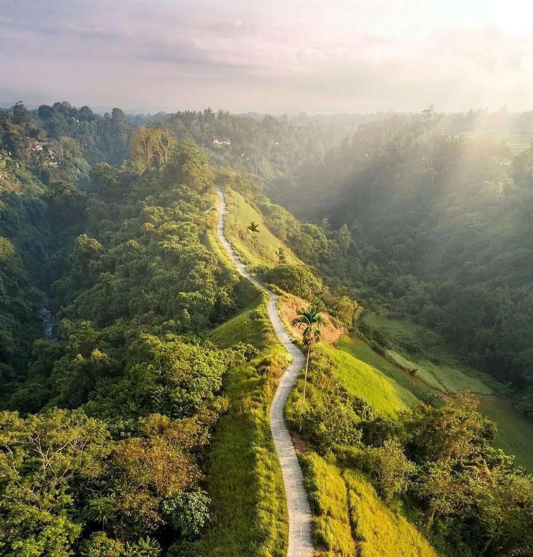 Morning view over Campuhan Ridge Walk in Ubud, Bali