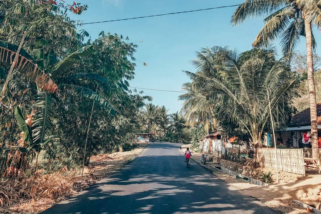 Palm-lined road in Kuta Lombok near beaches, cafés, surf spots, and South Lombok attractions