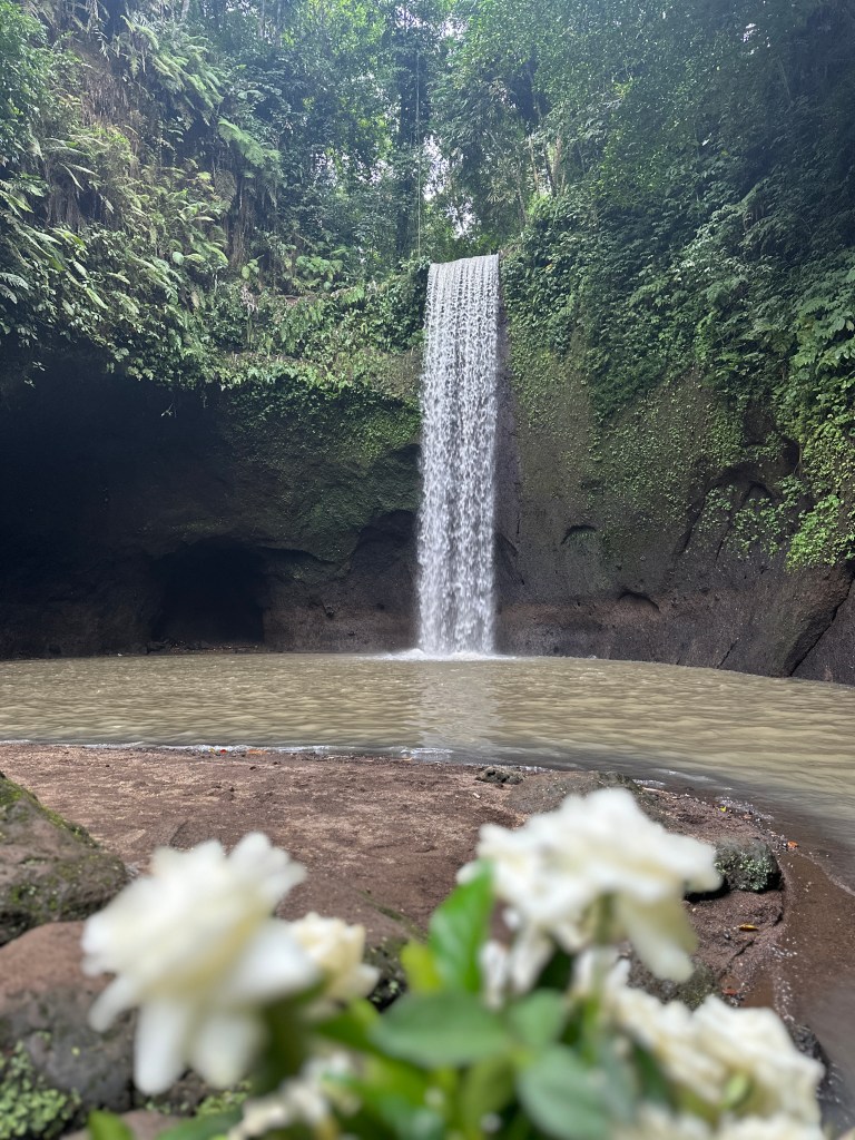 Waterfall flowing into a natural pool in Munduk, Bali