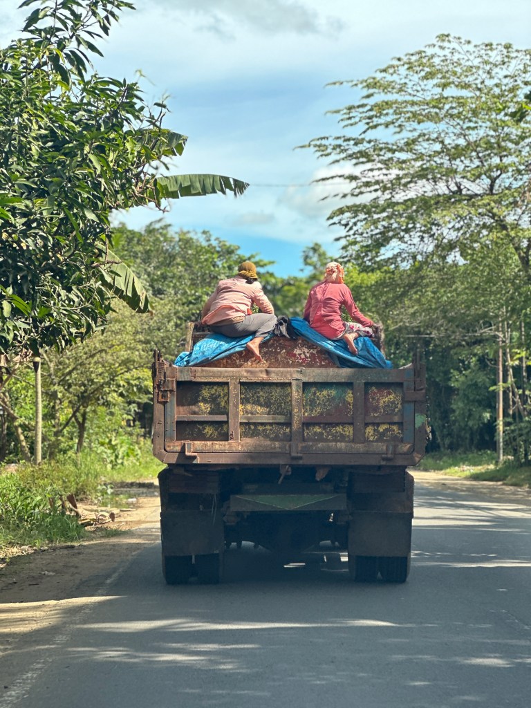 TWO women riding on top of a dirt truck in rural lombok indonesia. 