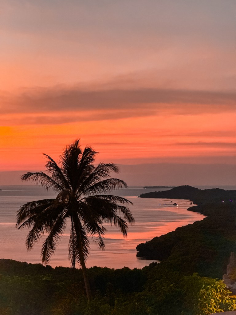 Sunset over Karimunjawa coastline in Java, Indonesia, with palm tree silhouette and orange sky.
