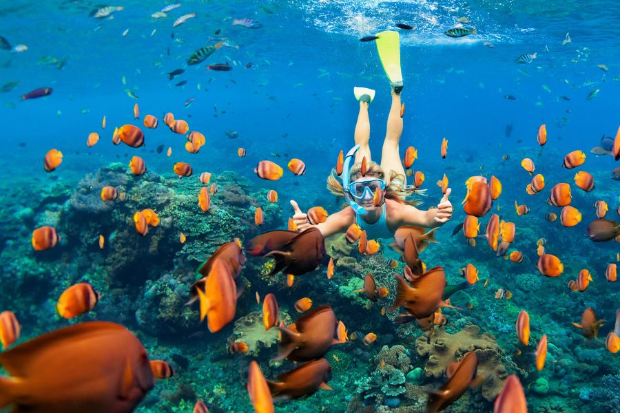 Snorkeler swimming with colorful fish and coral near Menjangan Island