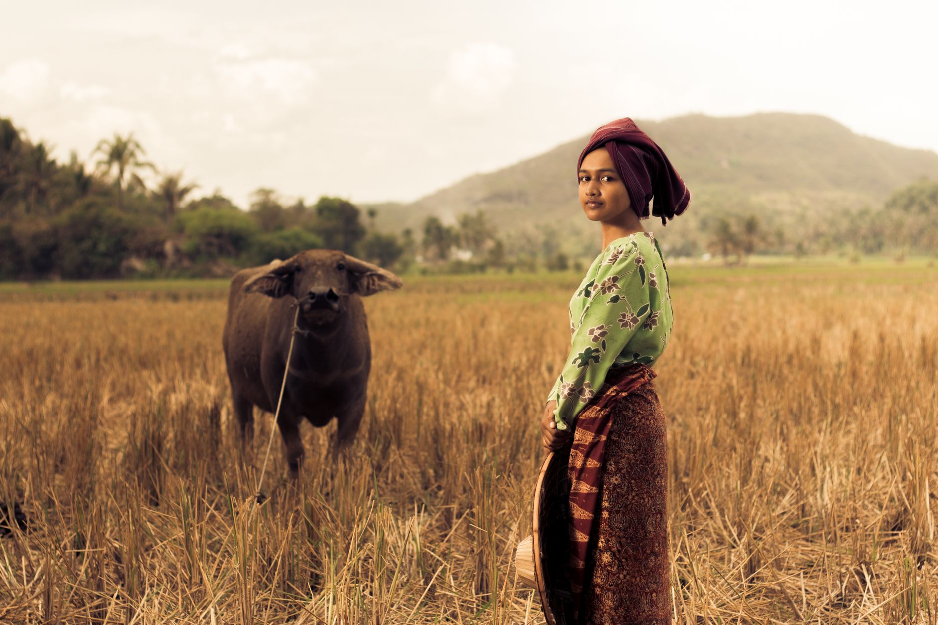 Sumbanese woman standing in a dry field with a buffalo in North Sumba