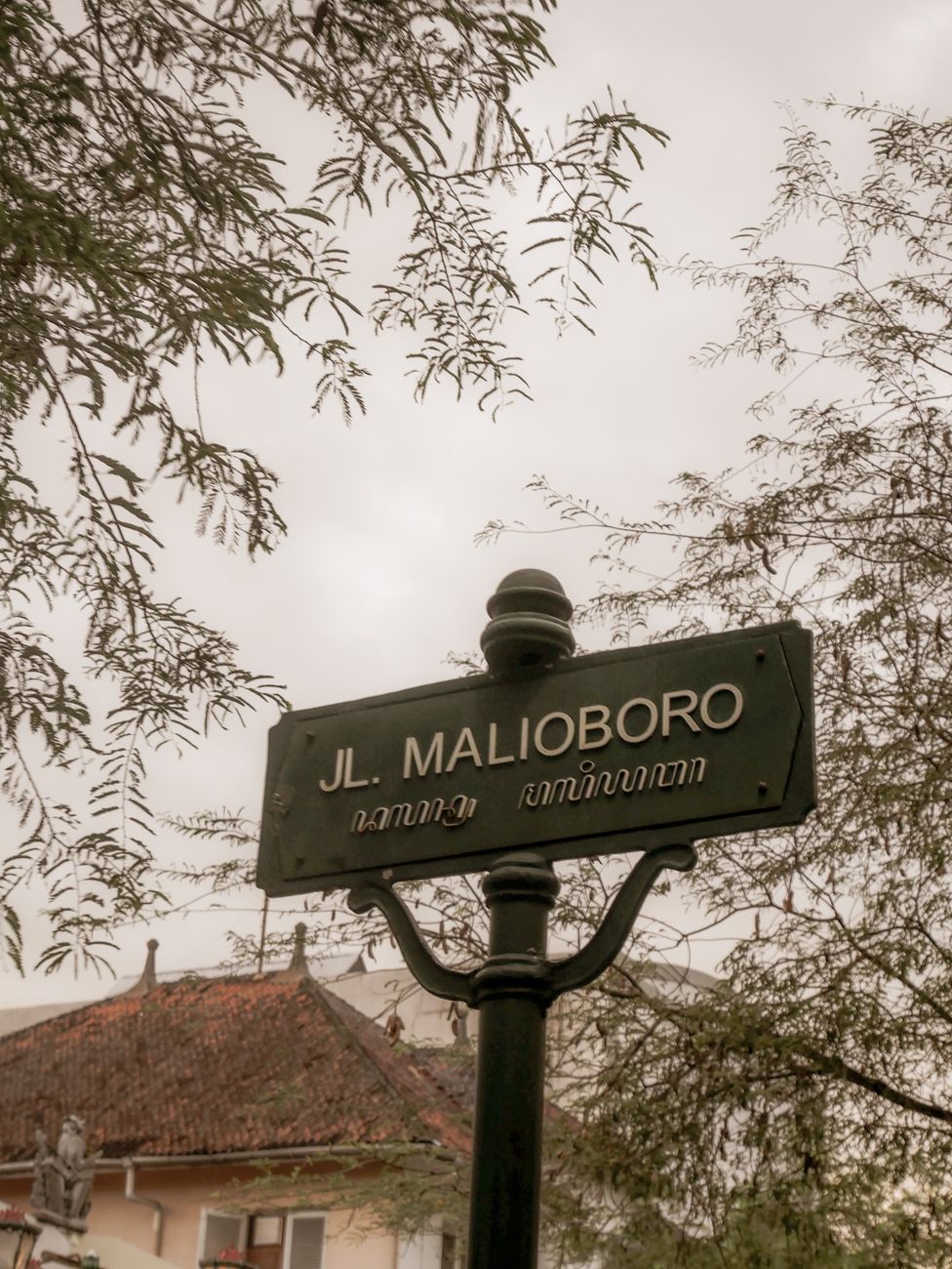 Malioboro street sign in Yogyakarta with tree branches and old rooftops in the background