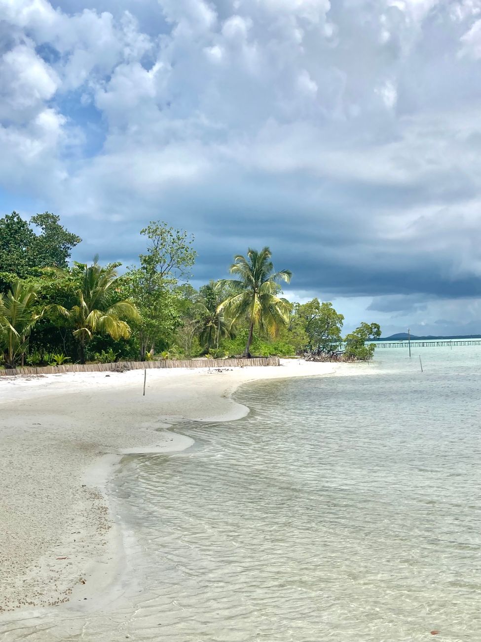 Karimunjawa island beach with turquoise waters and palmtrees lining the white sand. 