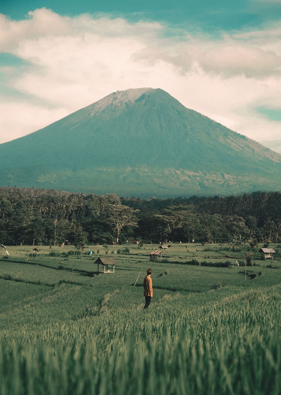 Mount Rinjani volcano rising above green fields in Lombok, Indonesia