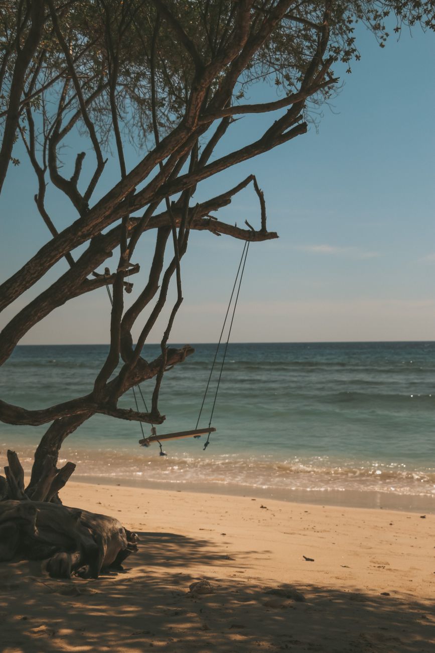 Wooden swing hanging from a tree beside a quiet tropical beach in Lombok, Indonesia