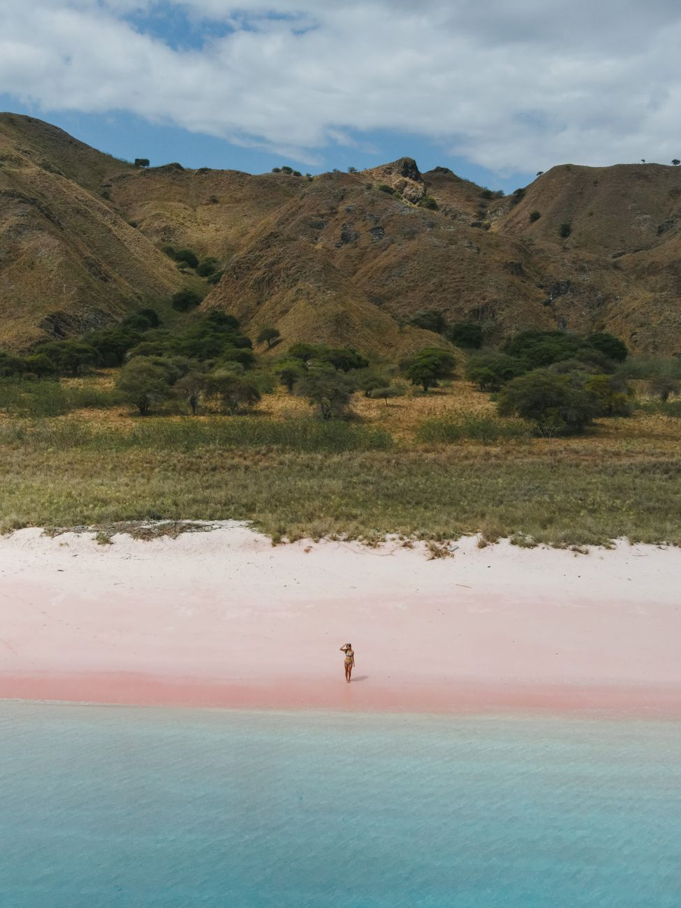 Aerial view of Pink Beach with pale pink sand, turquoise water and dry hills in Komodo National Park.