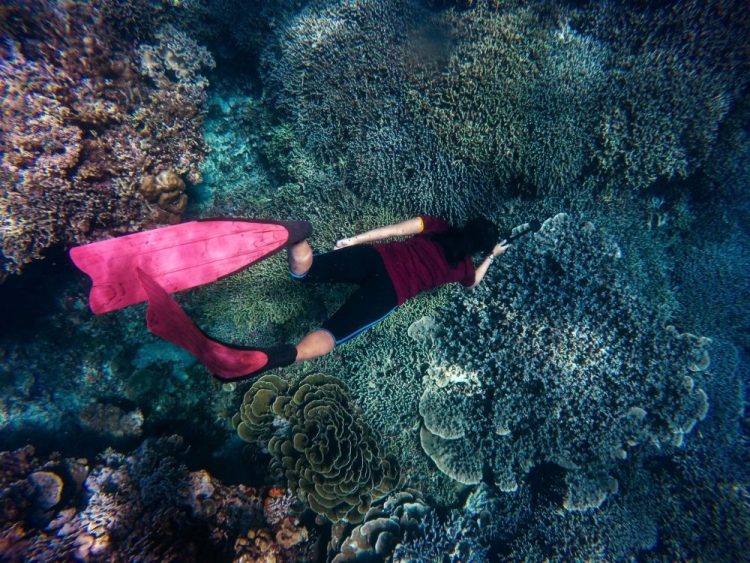 Women swimming underwater with colorful coral and clear blue water.