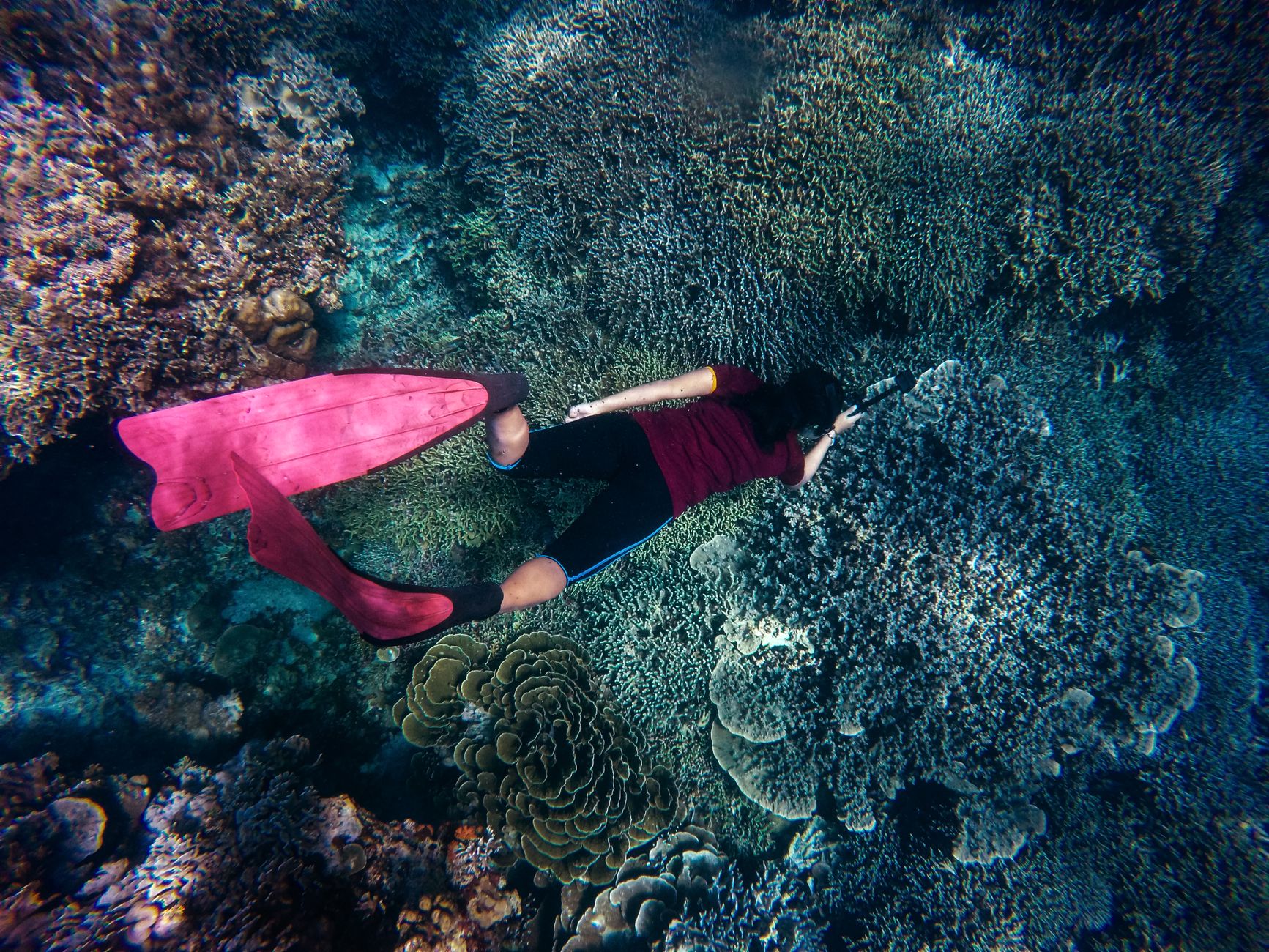 Snorkeler with pink fins swimming above coral reef in Amed Bali