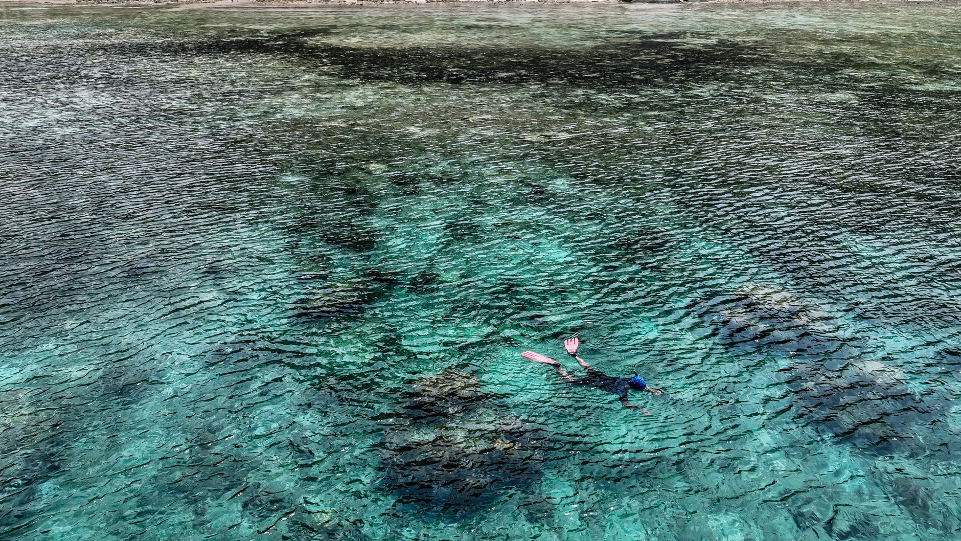 Snorkelers swimming above the reef near Tulamben Bali