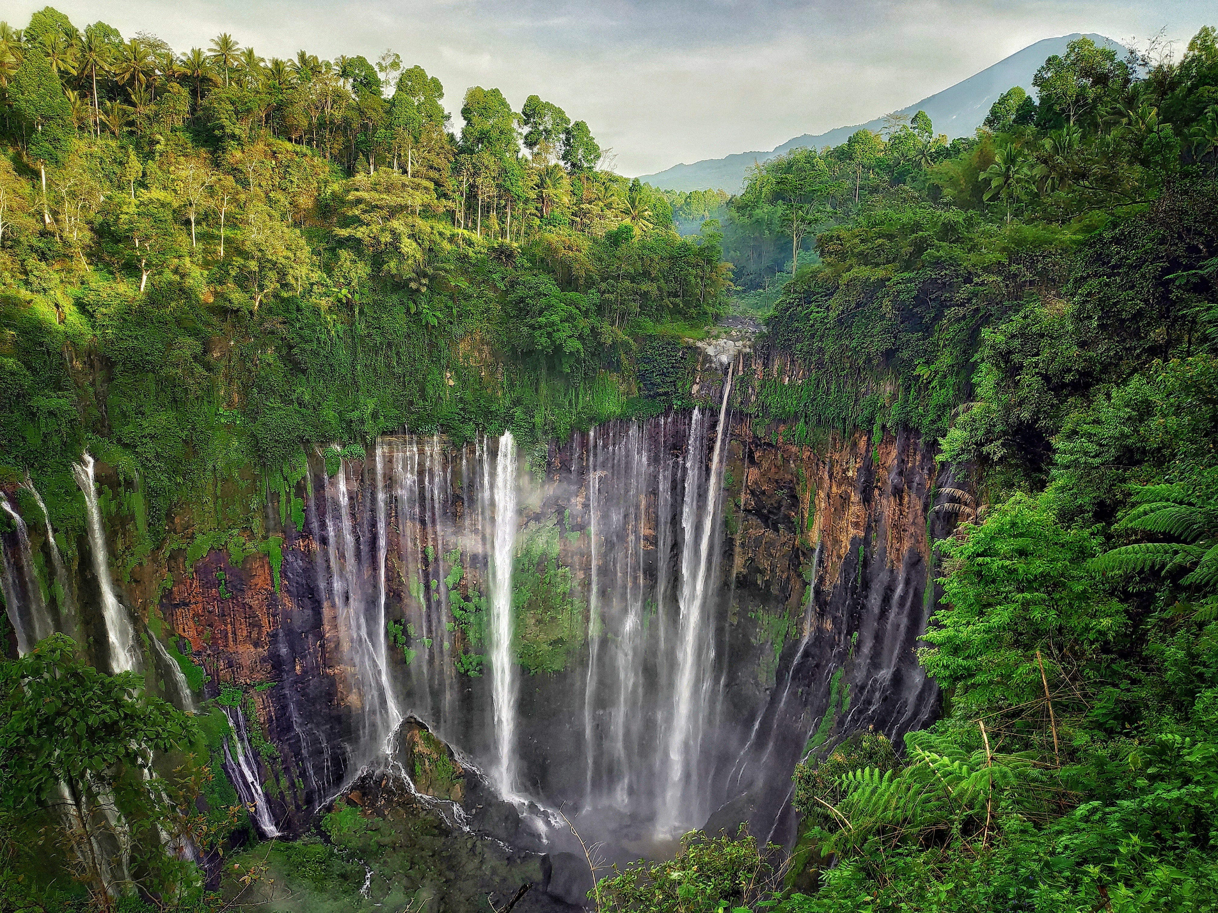 Tumpak Sewu Waterfall dropping into a green jungle canyon in East Java