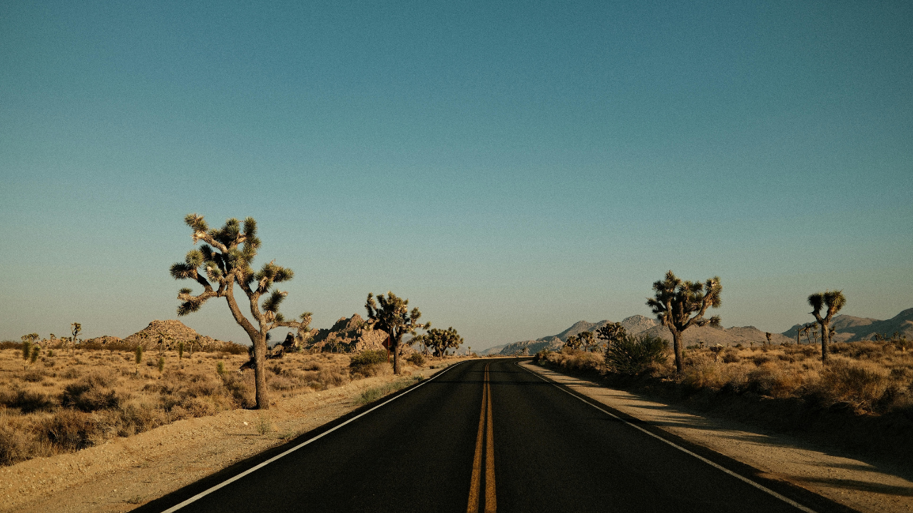 Desert road through Joshua Tree National Park during a USA road trip itinerary