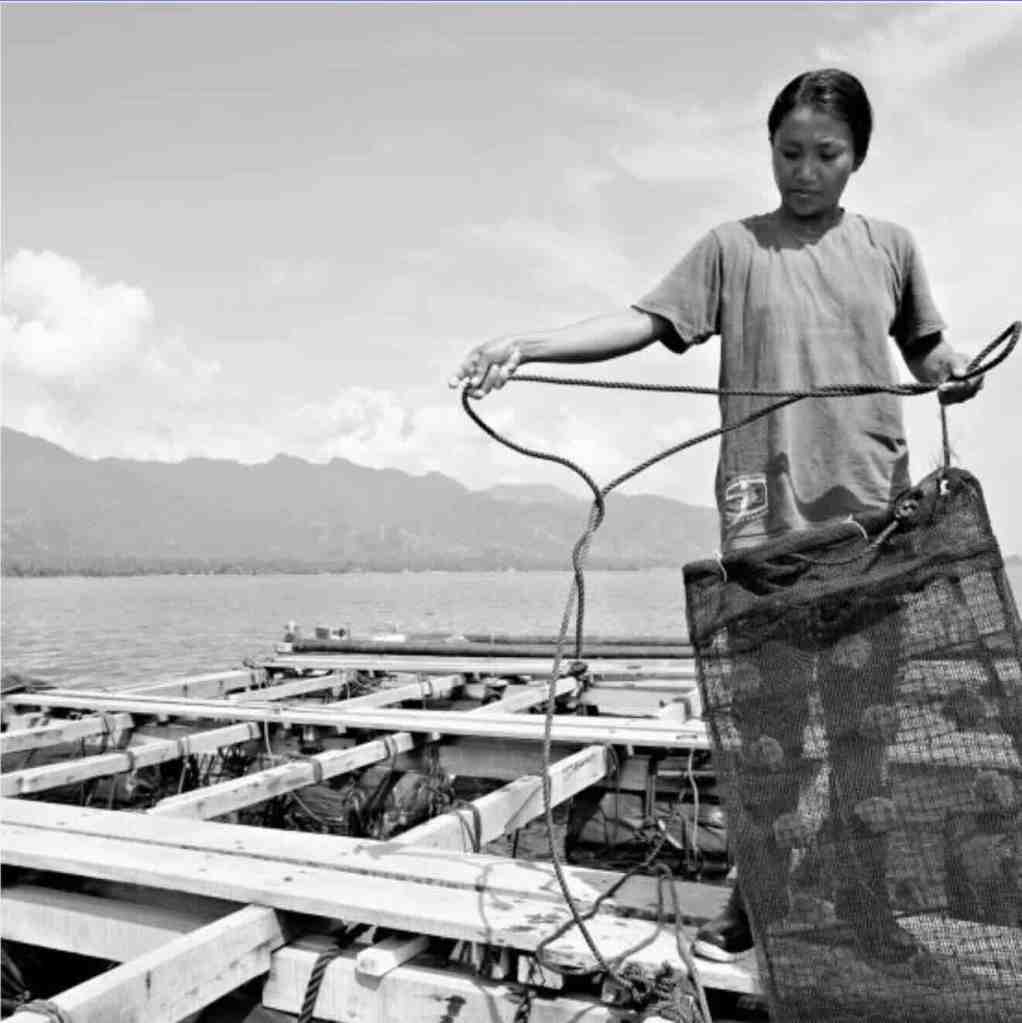 Woman working at a pearl farm near Pemuteran in Northwest Bali