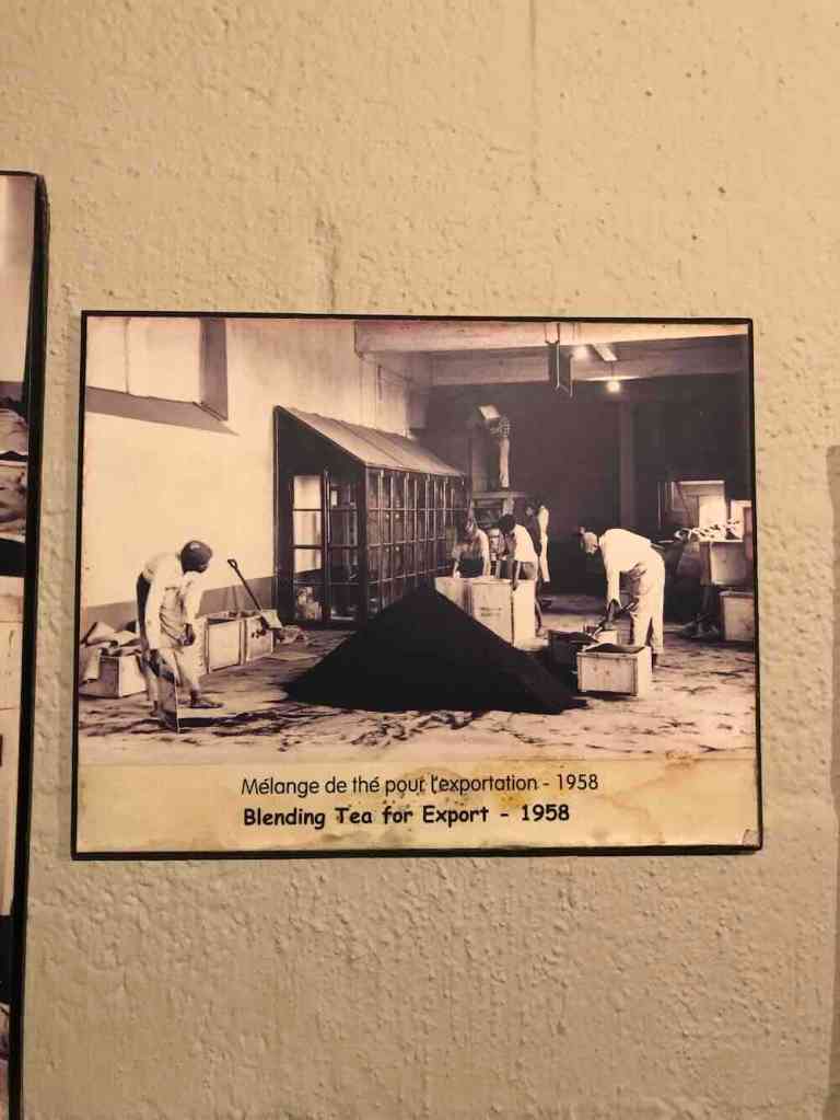 Historic photograph displaying the tea-making history inside Bois Chéri Tea Plantation.