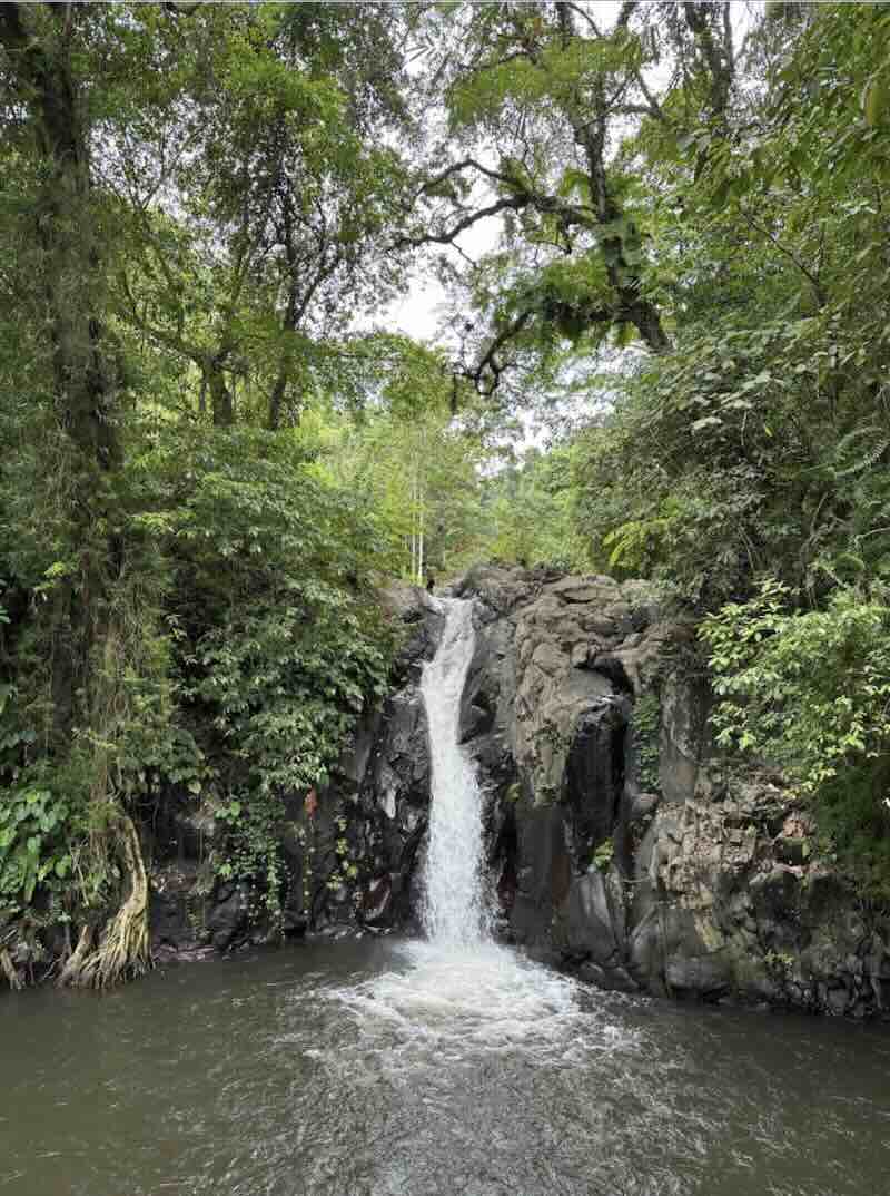 Small jungle waterfall surrounded by rocks and greenery in Munduk, Bali
