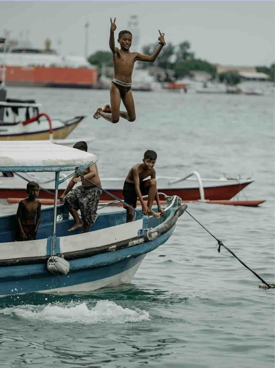 Dolphins swimming in the ocean during a boat tour in Lovina, Bali