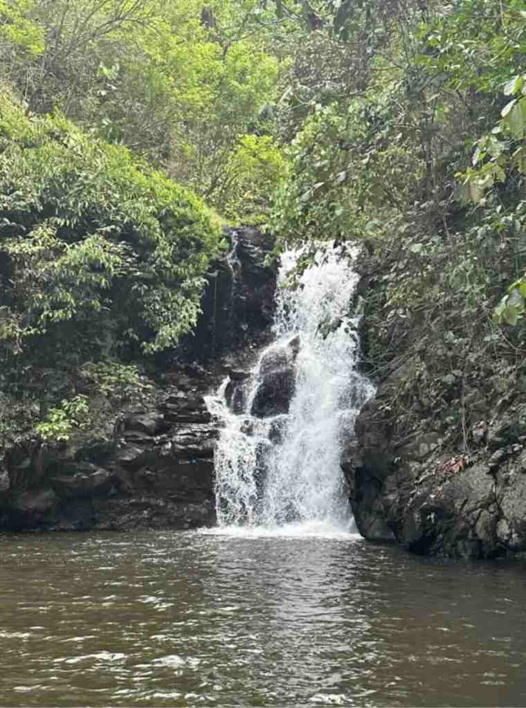 Waterfall flowing into a jungle pool in Munduk, Bali