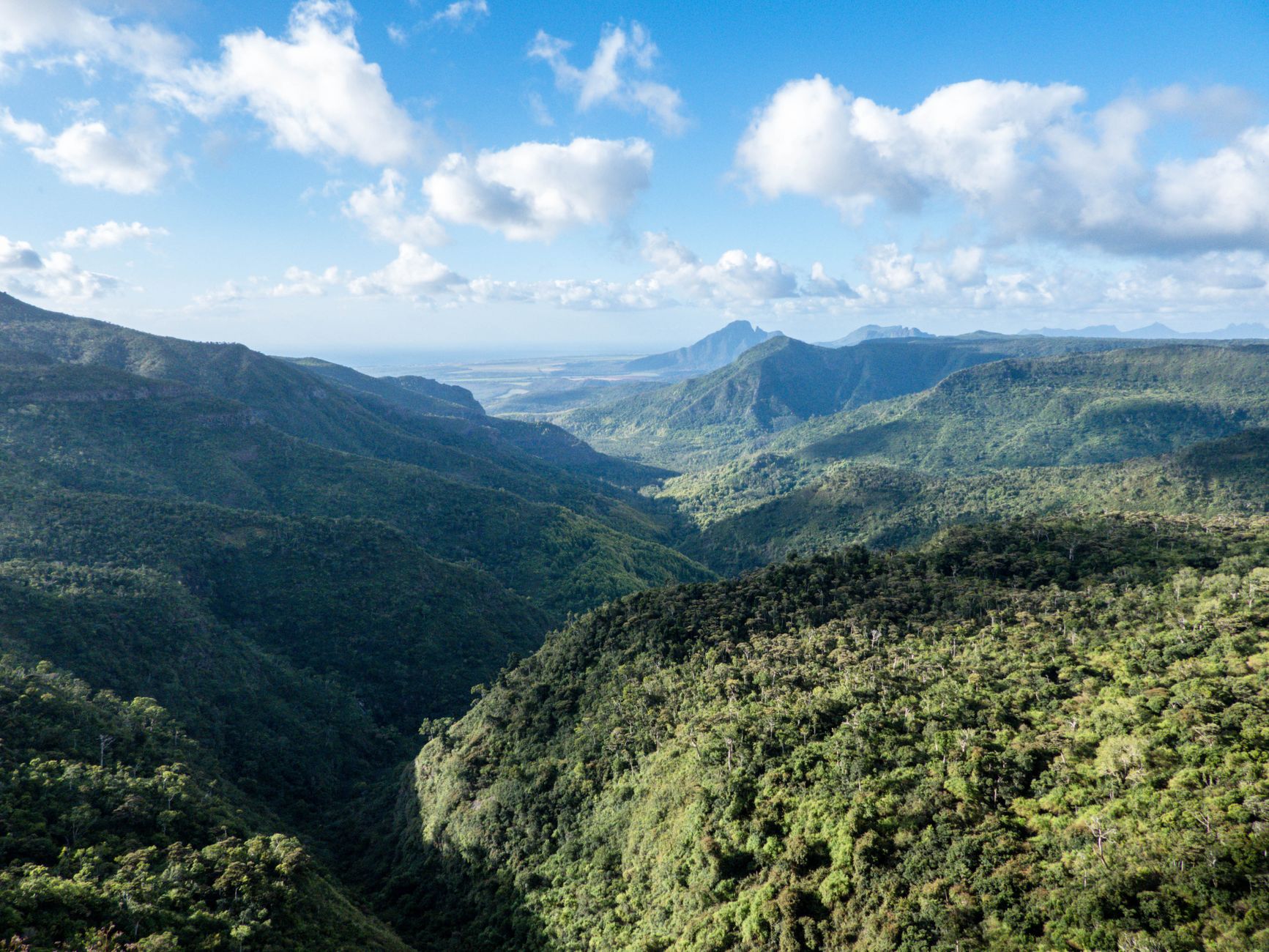 Panoramic viewpoint overlooking the mountains of Black River Gorges National Park in Mauritius.