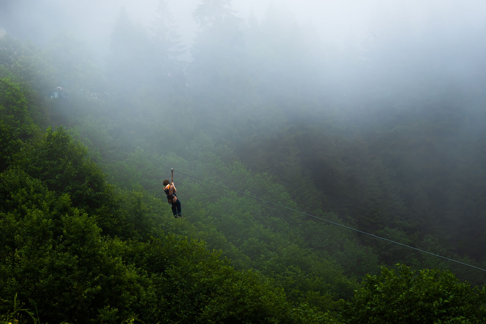 Person ziplining high above the forest canopy at Casela Nature Parks in Mauritius.