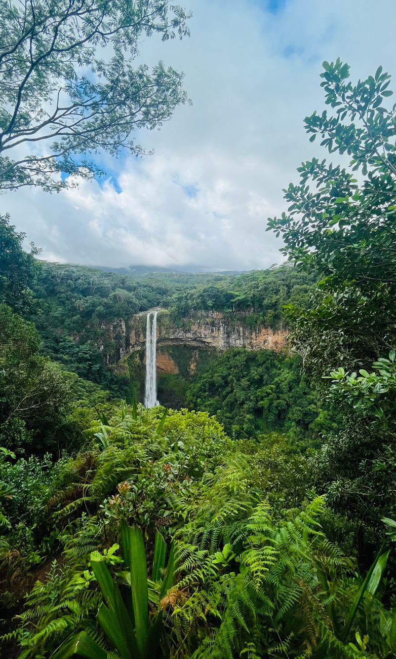 View of Chamarel Waterfall surrounded by tropical rainforest in Mauritius.