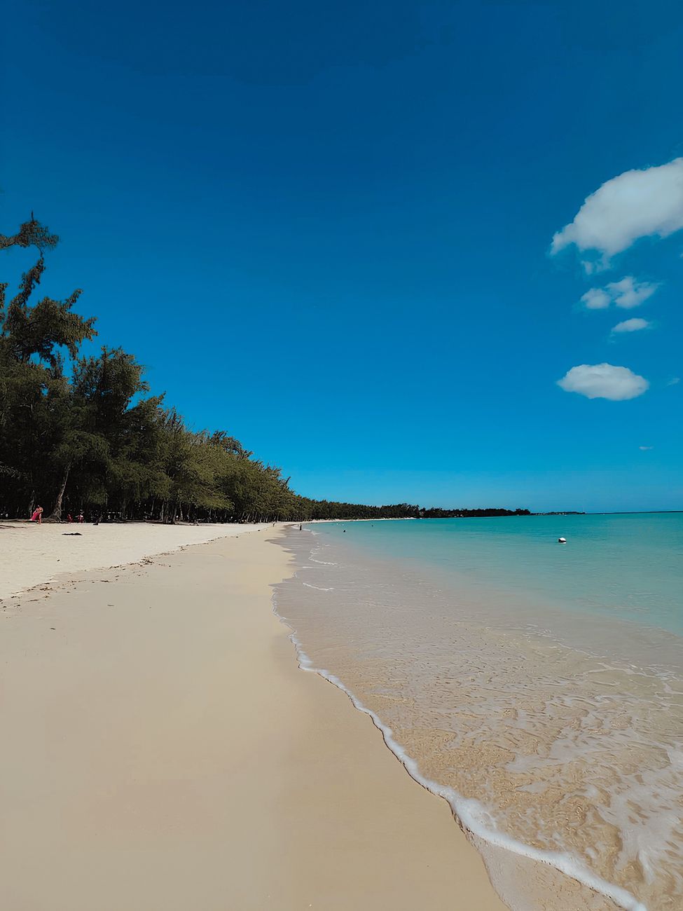 White sandy beach with calm turquoise water on Île aux Bénitiers in Mauritius.