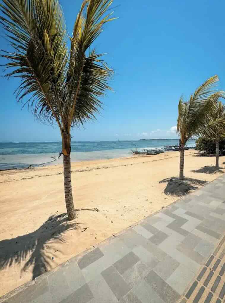 Palm trees and beach promenade along the calm coastline of Sanur, Bali