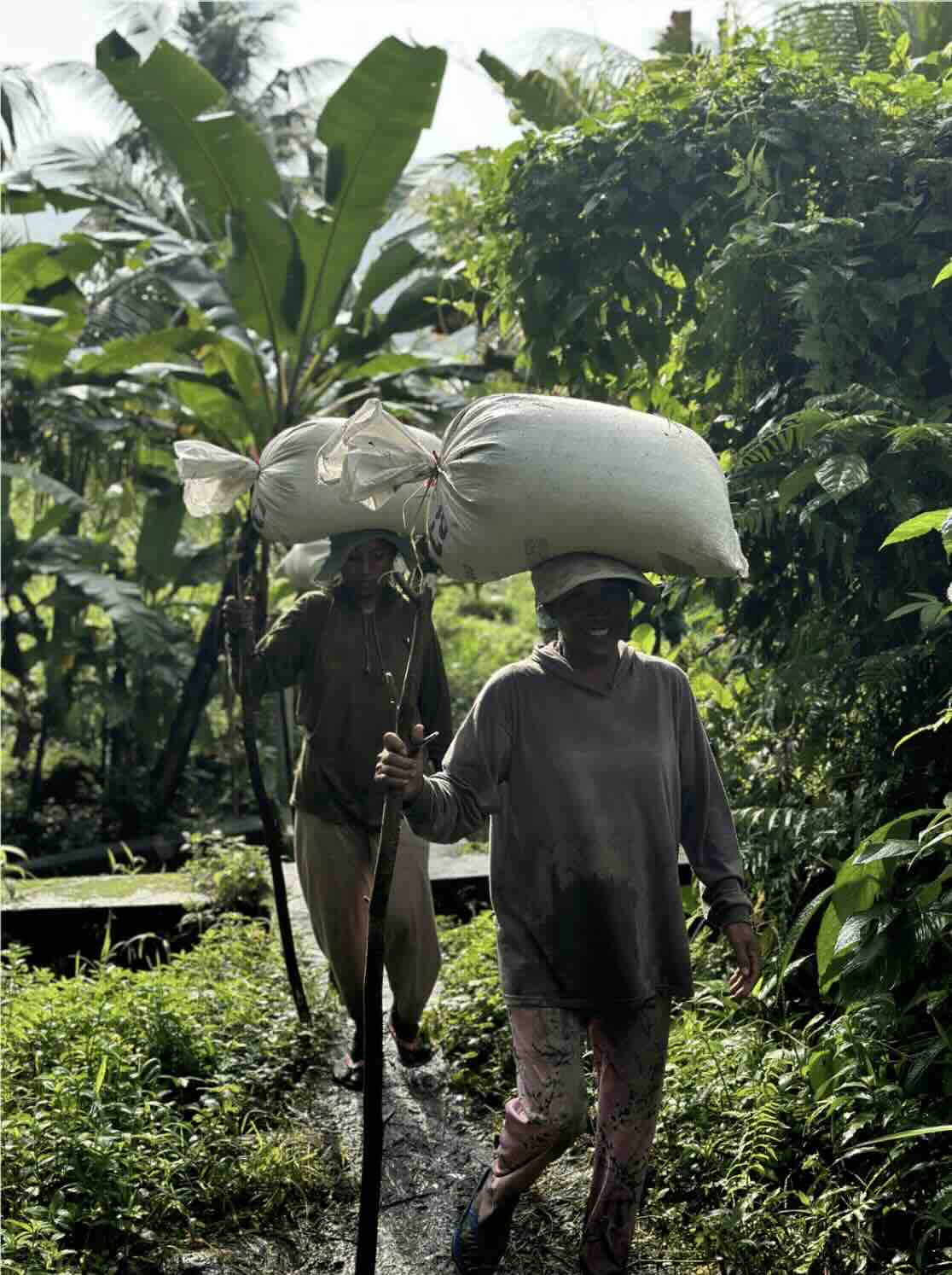 Local villagers carrying large sacks through tropical greenery in Sidemen, Bali
