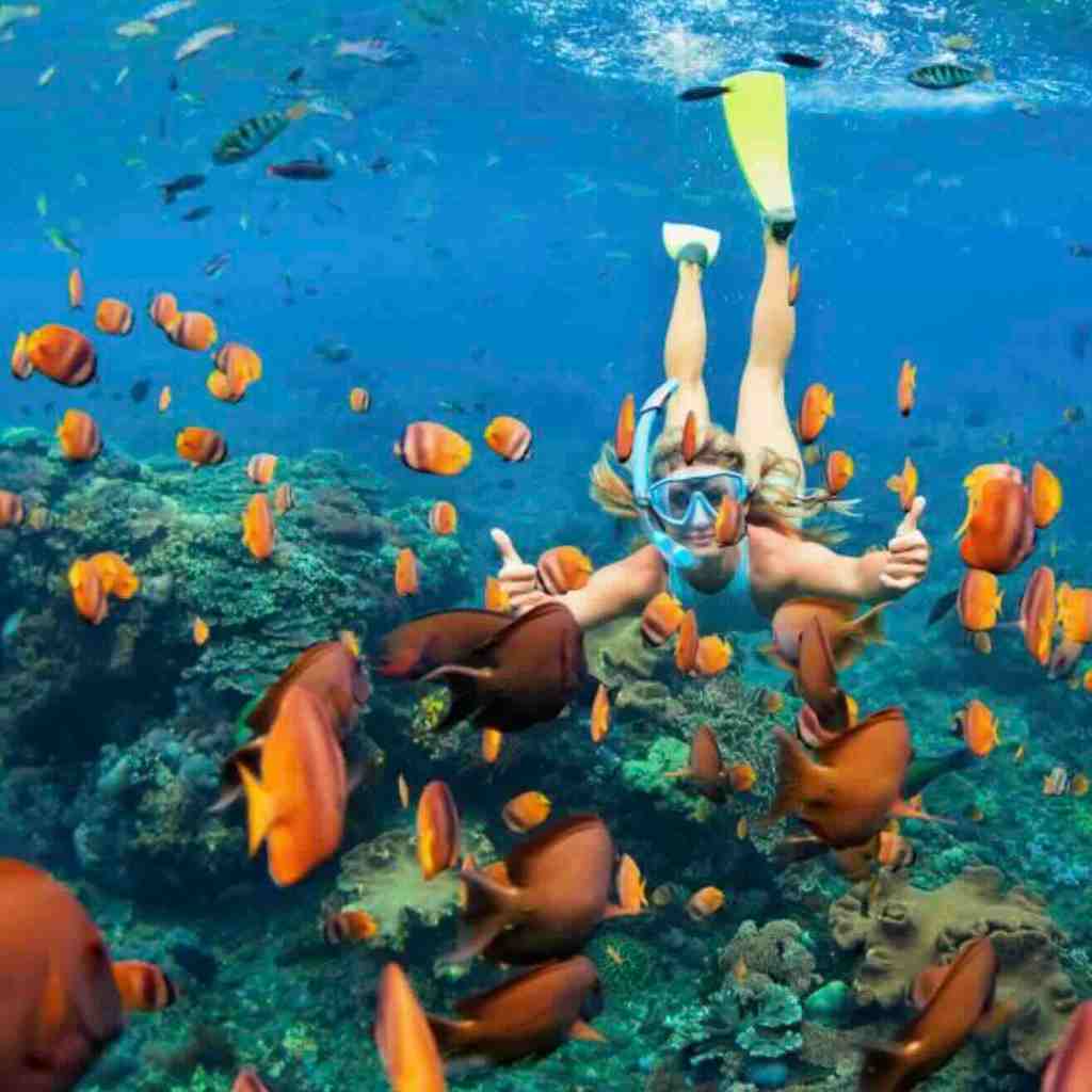 Snorkeler swimming with colorful tropical fish and coral reef at Menjangan Island, Bali
