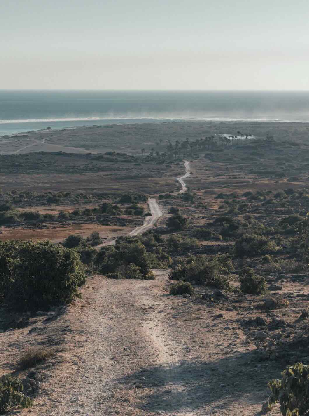 Dry road leading toward the coast in East Sumba, with wide open landscapes and ocean views in the distance.