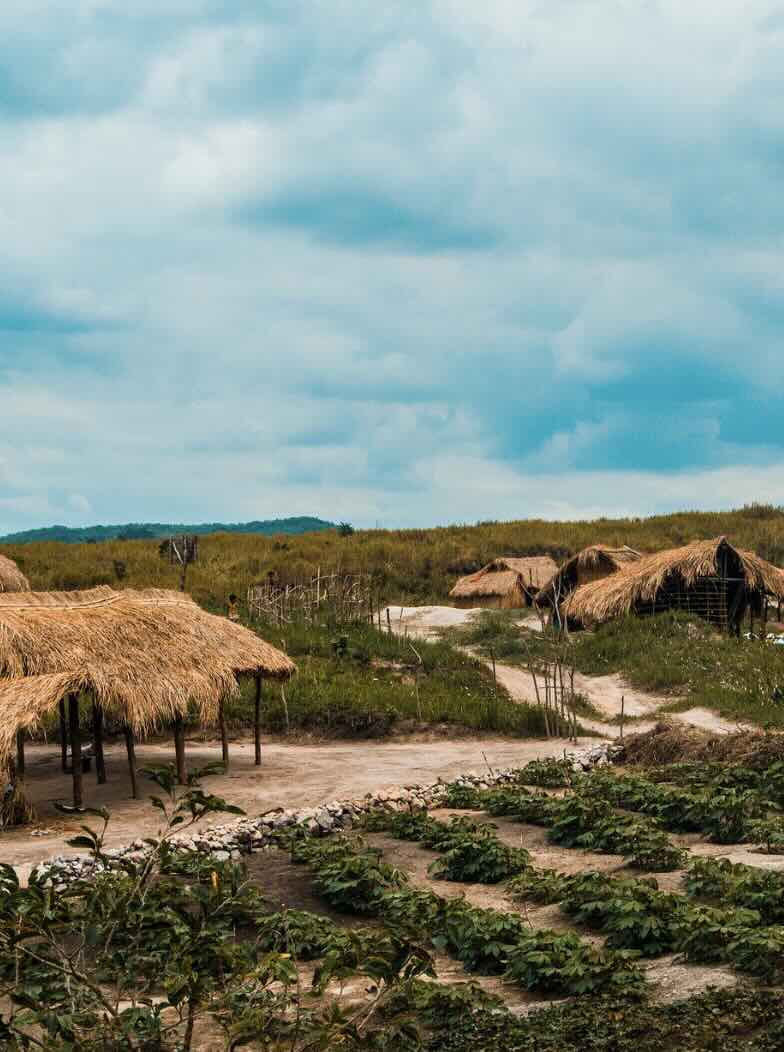 Traditional village landscape in North Sumba with thatched houses, open fields, and dramatic island scenery.