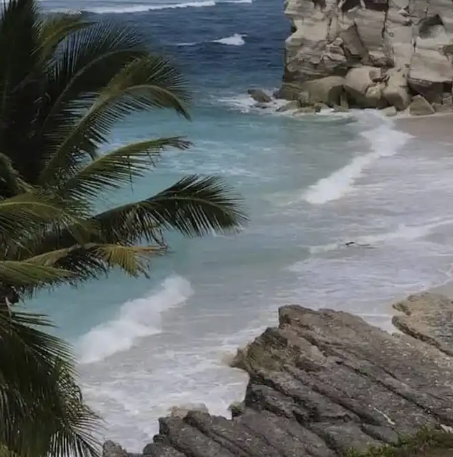 Watubela Beach in South Sumba with dramatic cliffs, palm trees, and powerful waves along the coast.
