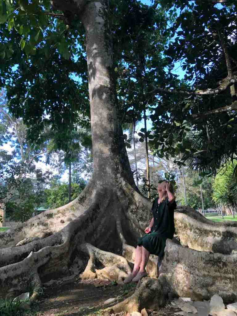 Woman sitting beneath a giant historic tree at Sir Seewoosagur Ramgoolam Botanical Garden in Mauritius.