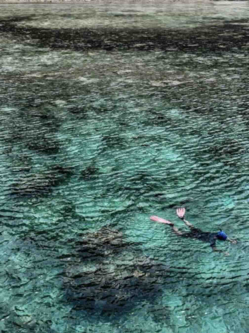 Snorkeler swimming above shallow reef in clear water near Tulamben, Bali