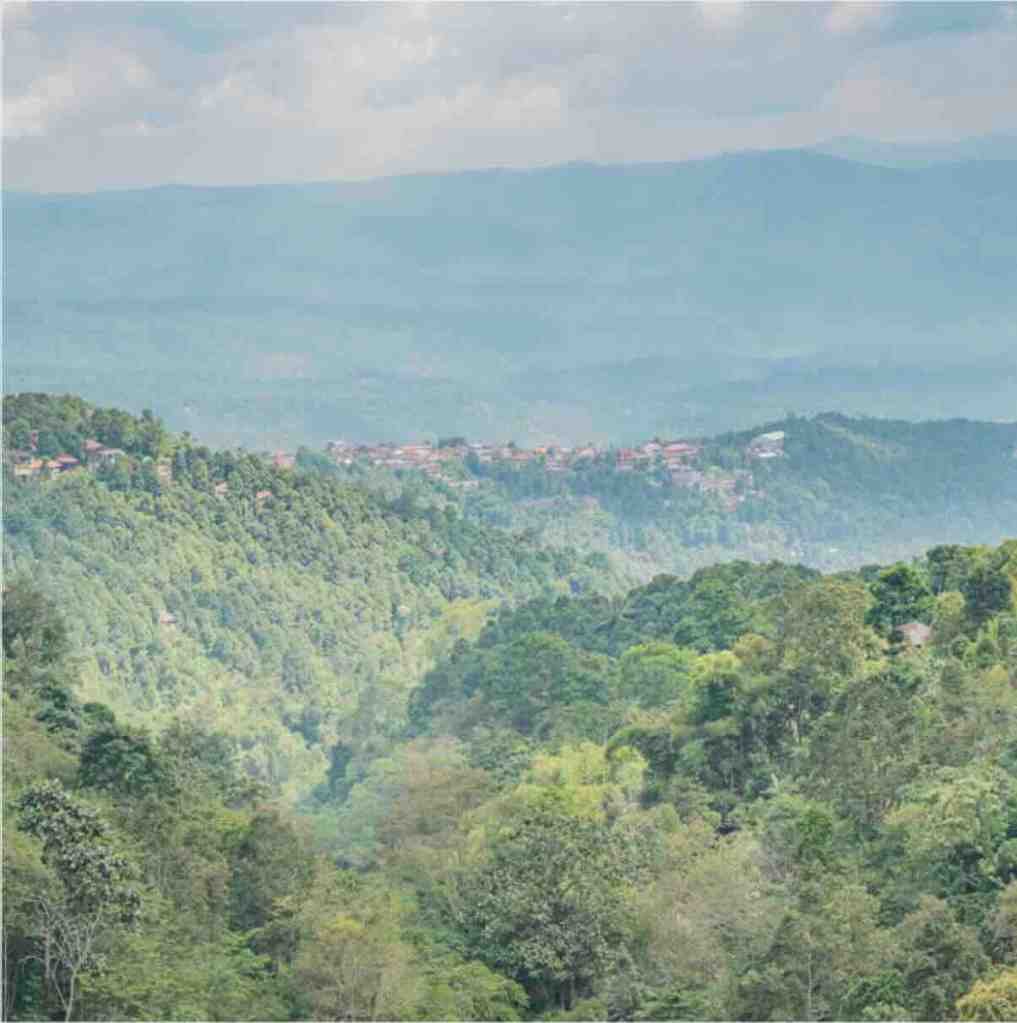 Green mountain view over Lake Buyan and Lake Tamblingan near Munduk, Bali