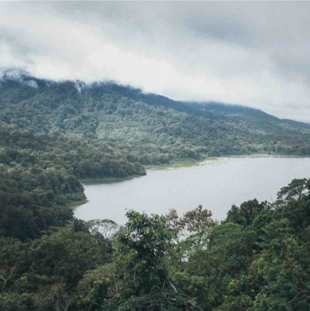 Forested hills and coastal scenery in West Bali National Park near Menjangan