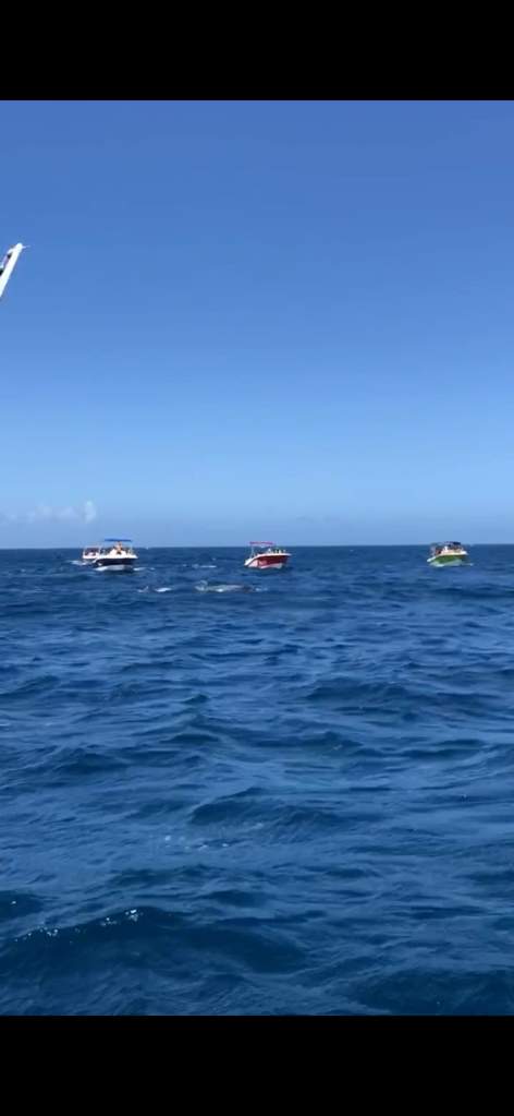 Whale watching boats searching for humpback whales off the west coast of Mauritius.