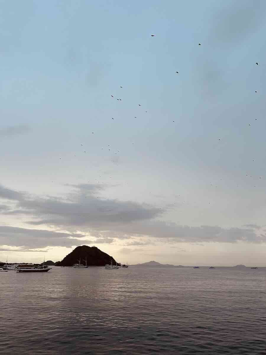 Kalong Island silhouetted across calm water at sunset in Komodo National Park.
