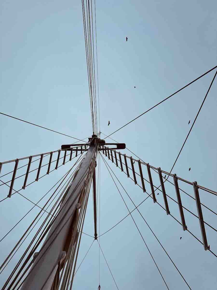 Flying foxes crossing the sky above the mast of a Komodo liveaboard near Kalong Island.