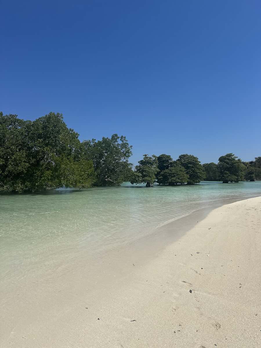 Quiet turquoise beach at Hakara Mangrove Beach in Rote Island, Indonesia.