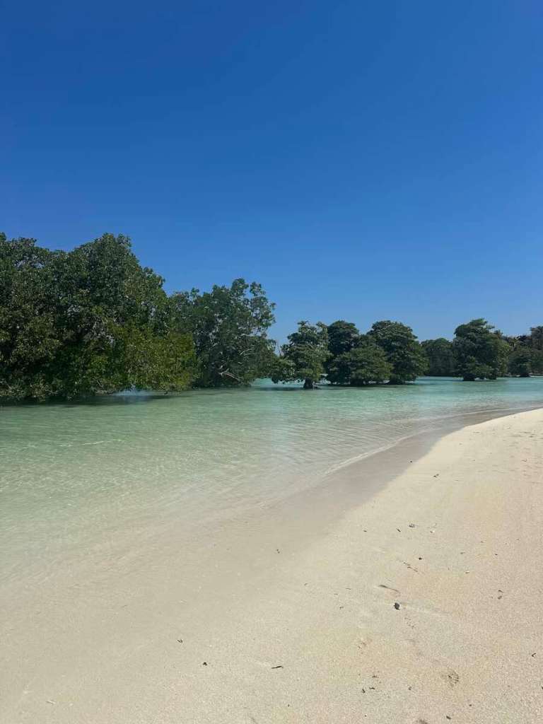 Quiet tropical beach with clear water in Rote Island